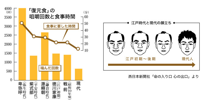 顎が小さい理由